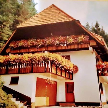 Ferienwohungen Im Kuchersbach Горнберґ Екстер'єр фото