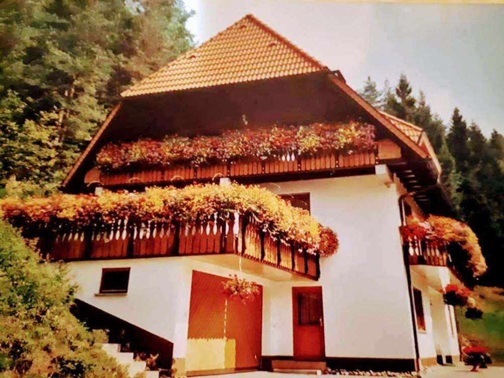 Ferienwohungen Im Kuchersbach Горнберґ Екстер'єр фото